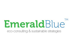 Emerald Blue corporate identity and website